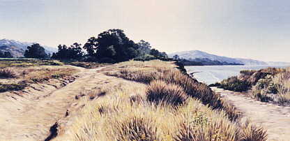 Carpinteria Bluffs